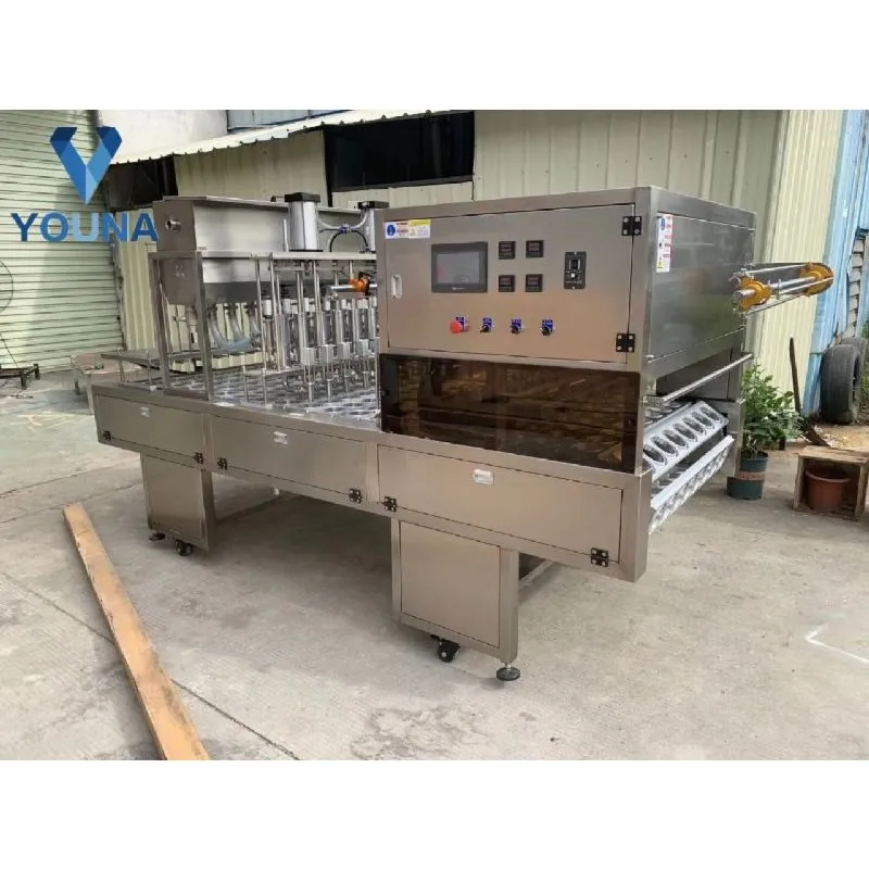 Automatic Plastic Mineral Water Liquid Cup Washing Filling Sealing Capping Machine