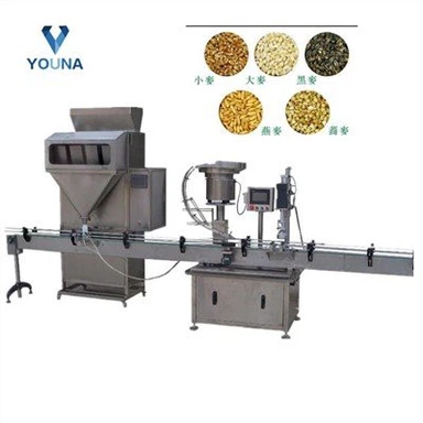 Grain Filling Packing Machine